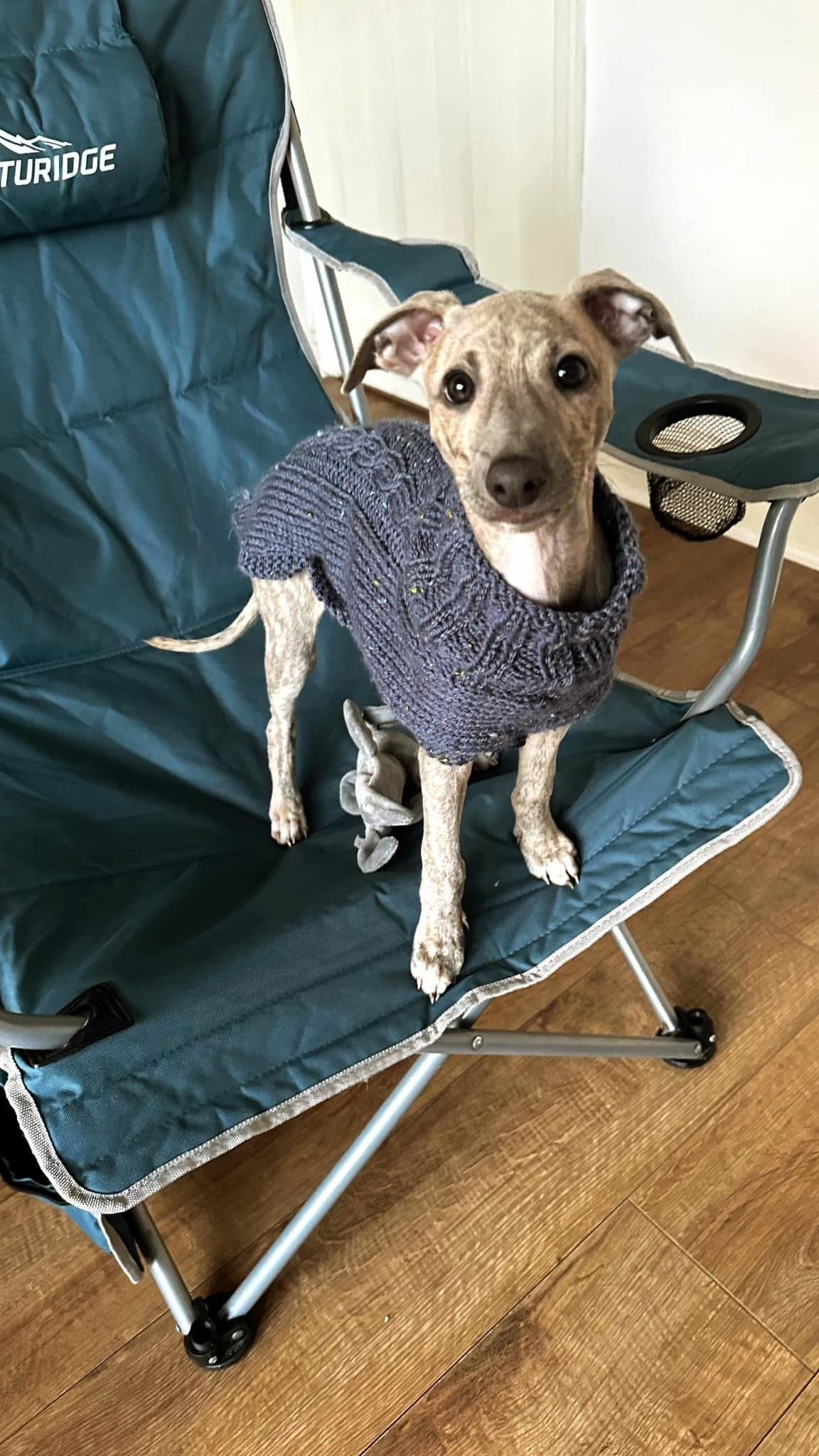 Knitted Coat - Button Up - Speckled Plum