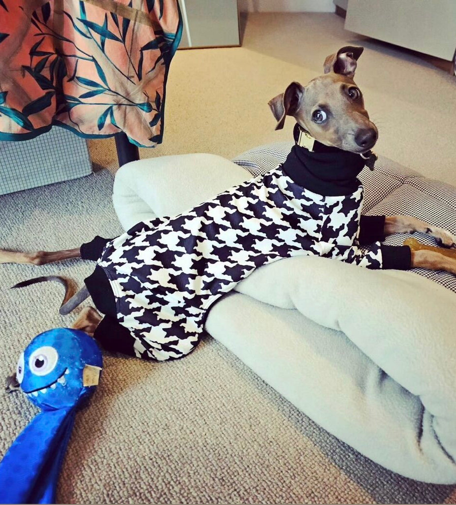 Scuba Jersey Suit - Dogtooth