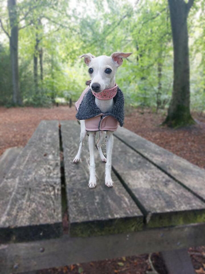 Rain Mac - Pink Submarines & Boucle Fleece Lining