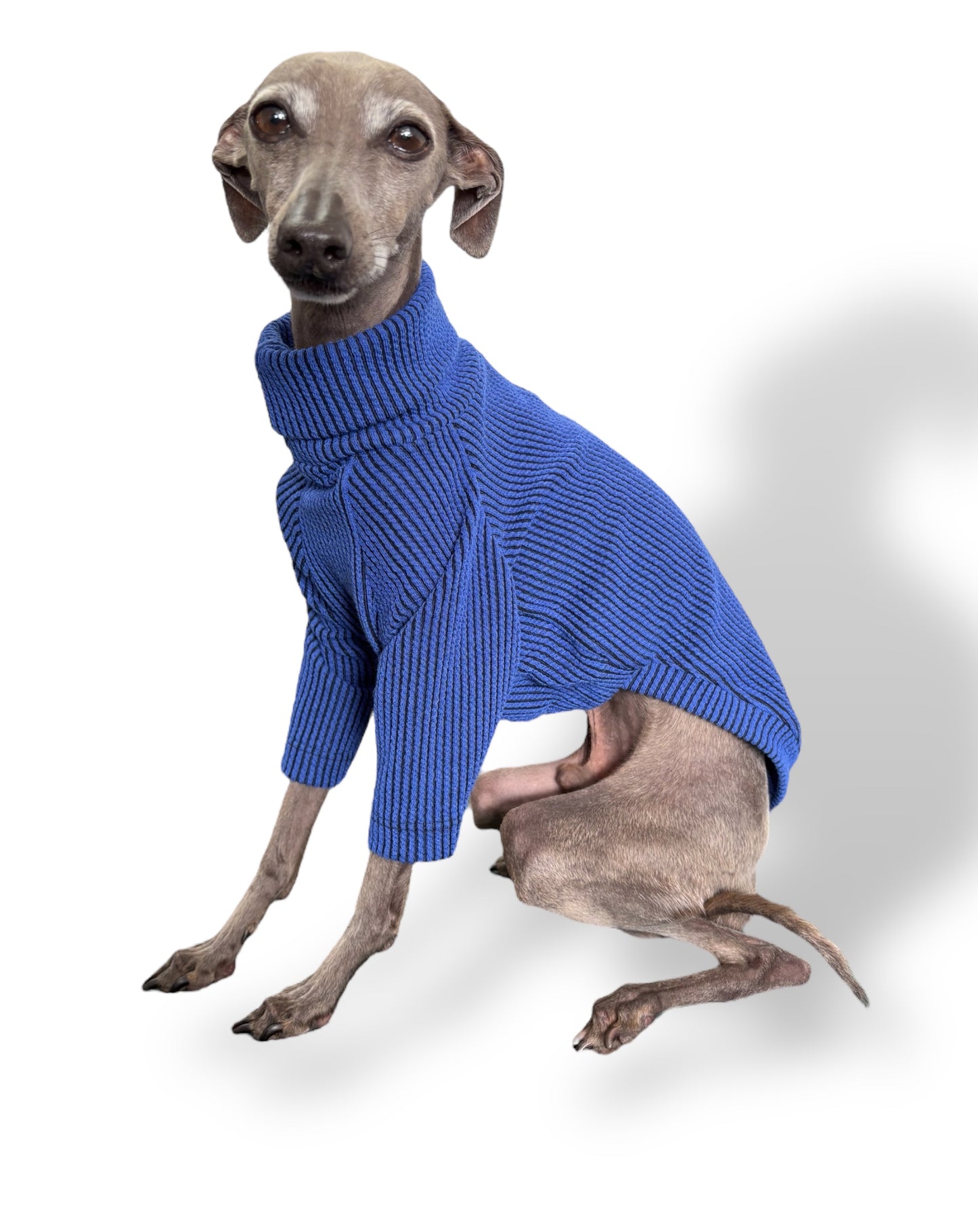 Ribbed Jersey T-Shirt - Royal Blue