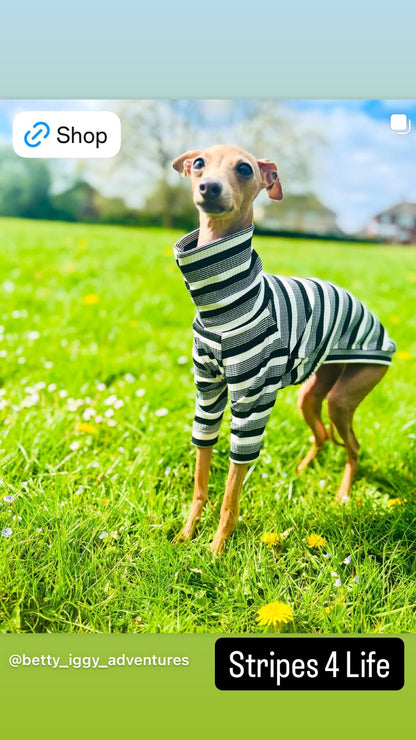 Ribbed Jersey T-Shirt - Black & White Stripe