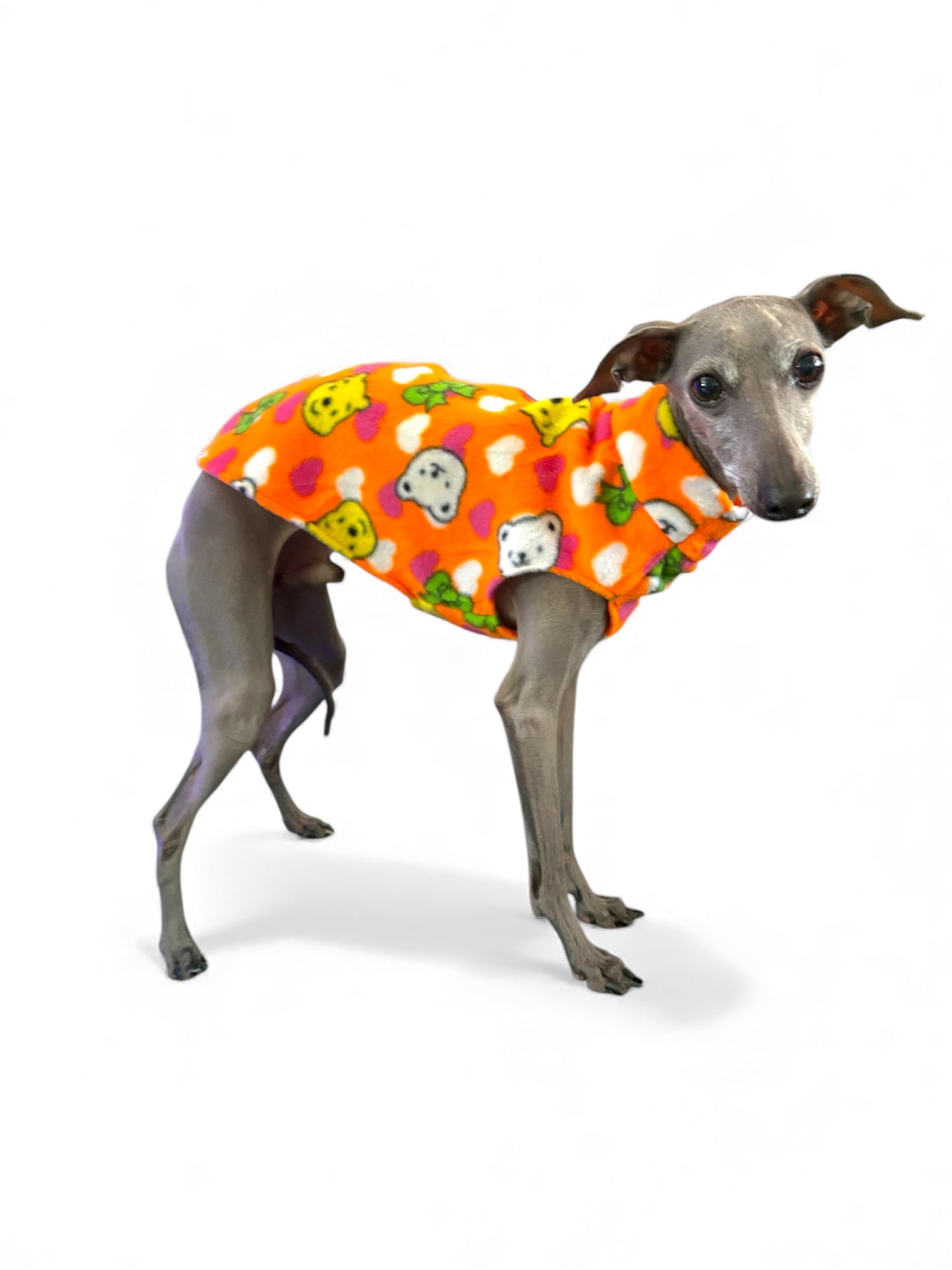 Fleece Vest - Vintage Winnie the Pooh