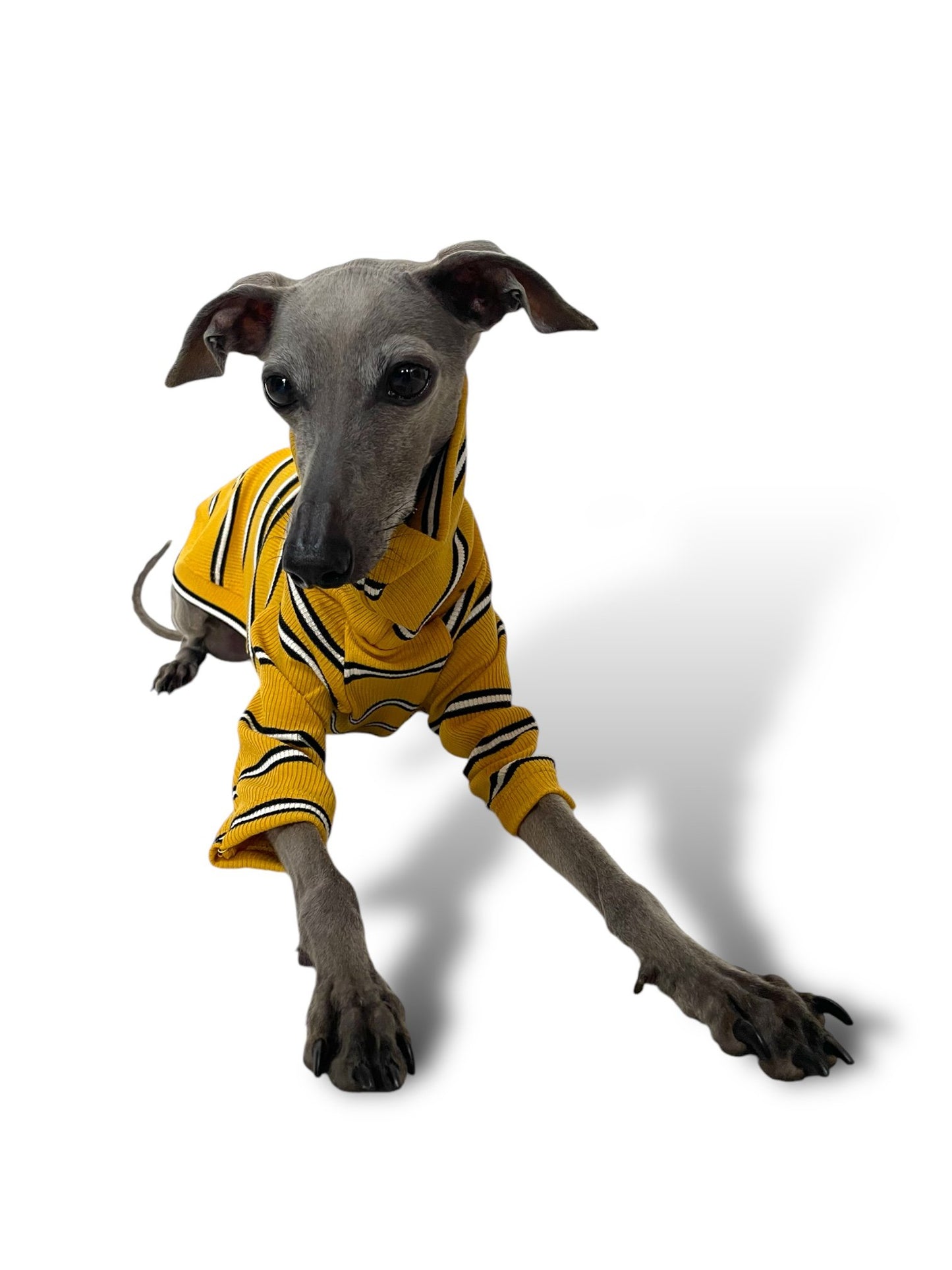 Ribbed Jersey T-Shirt - Yellow Stripe