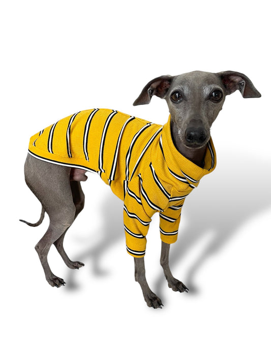 Ribbed Jersey T-Shirt - Yellow Stripe