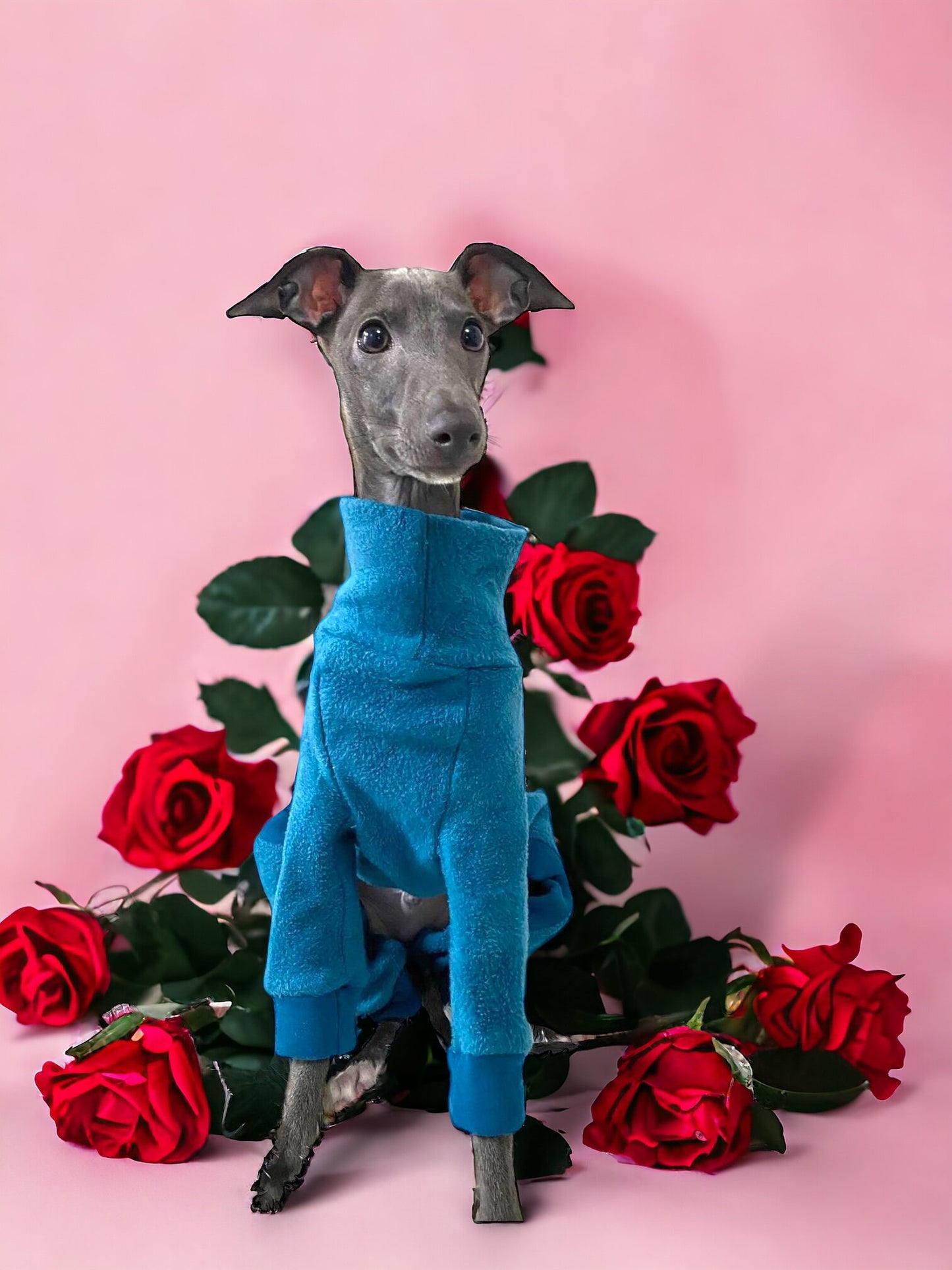 Fleece Lined Sweatshirt - Teal