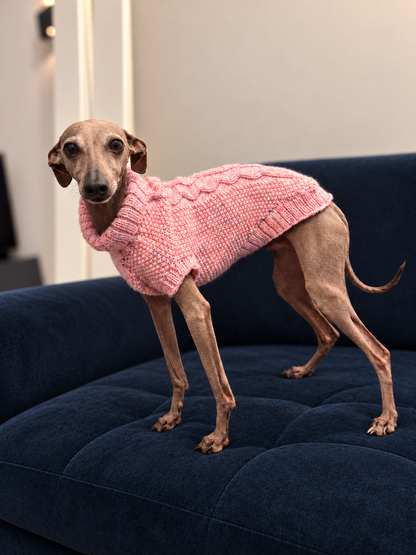 Pink hand-knitted dog jumper modelled by an Italian Greyhound on a navy sofa
