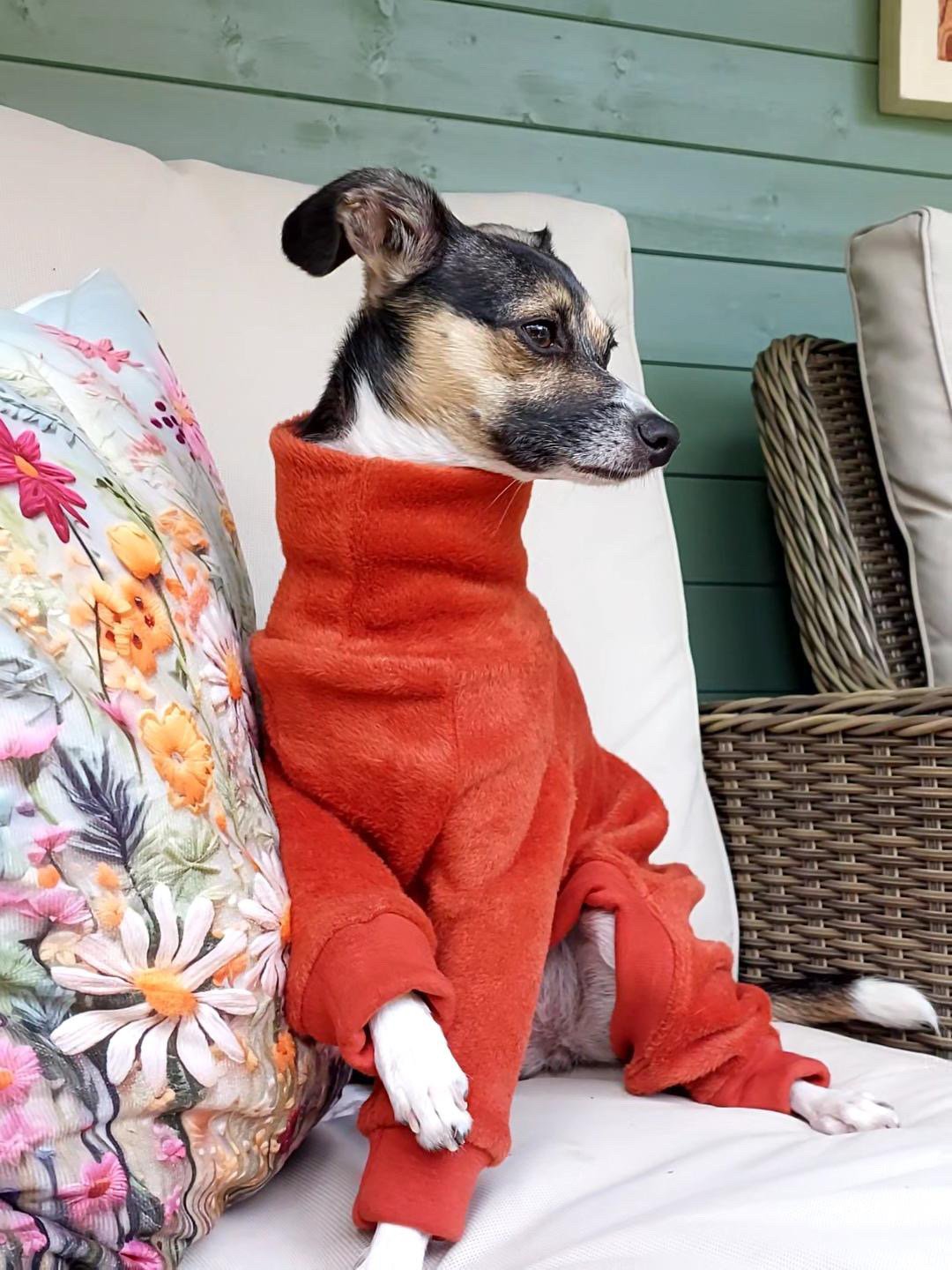 Fleece Lined Sweatshirt Suit - Rust Orange