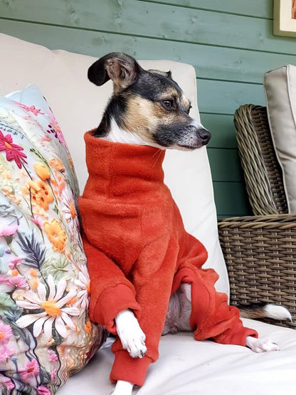 Fleece Lined Sweatshirt Suit - Rust Orange