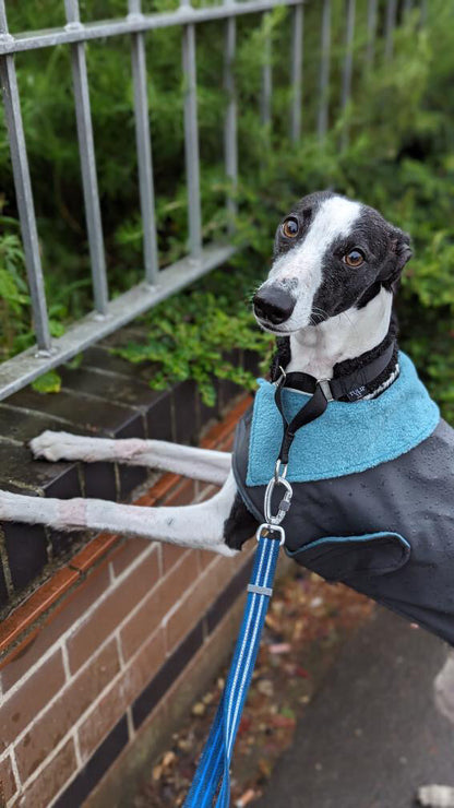 Rain Mac - Pink Submarines & Boucle Fleece Lining