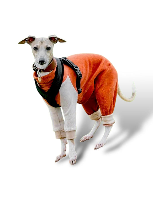 Fleece Lined Sweatshirt Suit - Rust & Stone