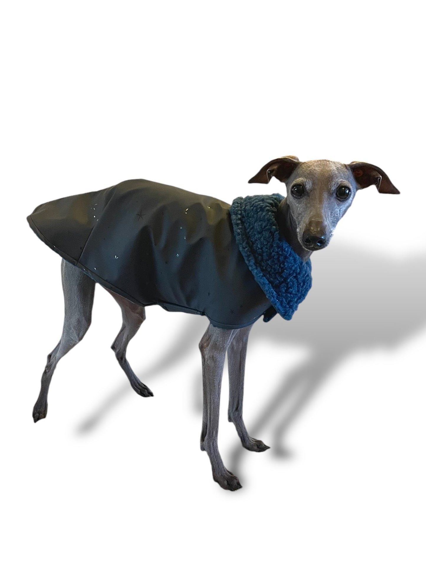 Rain Mac - Black Starfish & Blue Sherpa Lining