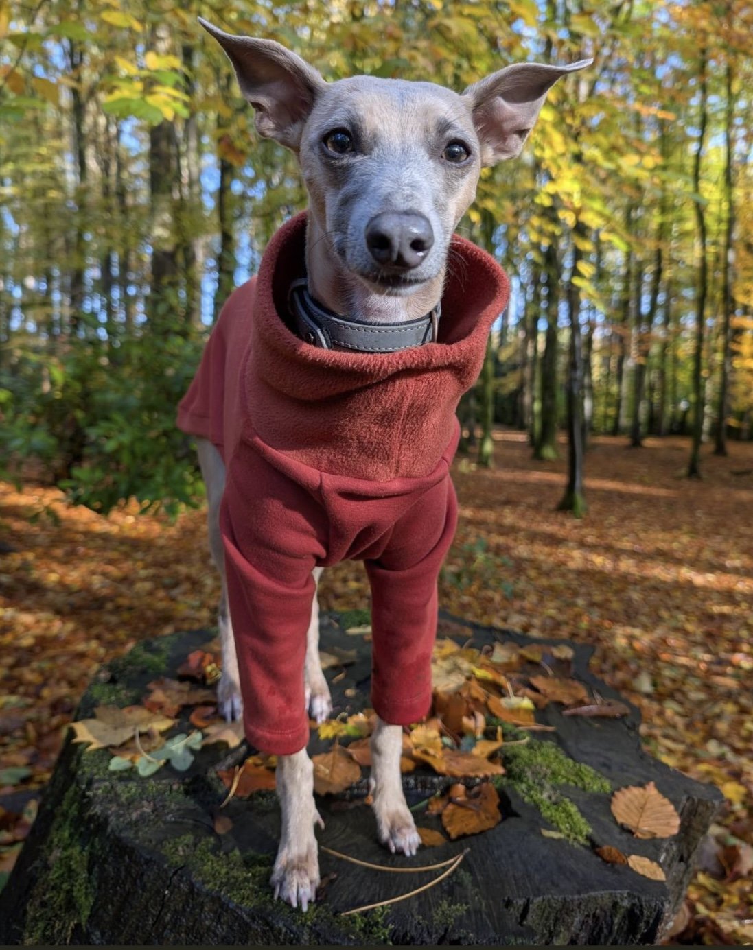 Fleece Lined Sweatshirt Jumper - Rust Orange