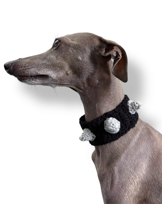 Spiked Dog Collar