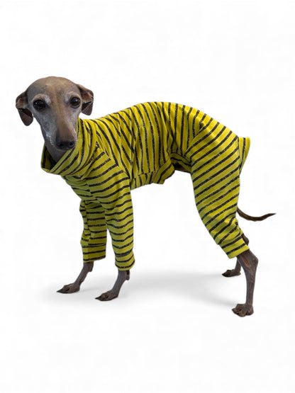 Jersey Suit - Green & Black Urban Stripe