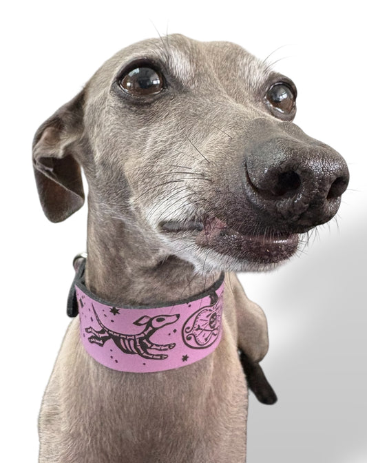 Leather Collar - HALLOWEEN - Skele-Hounds