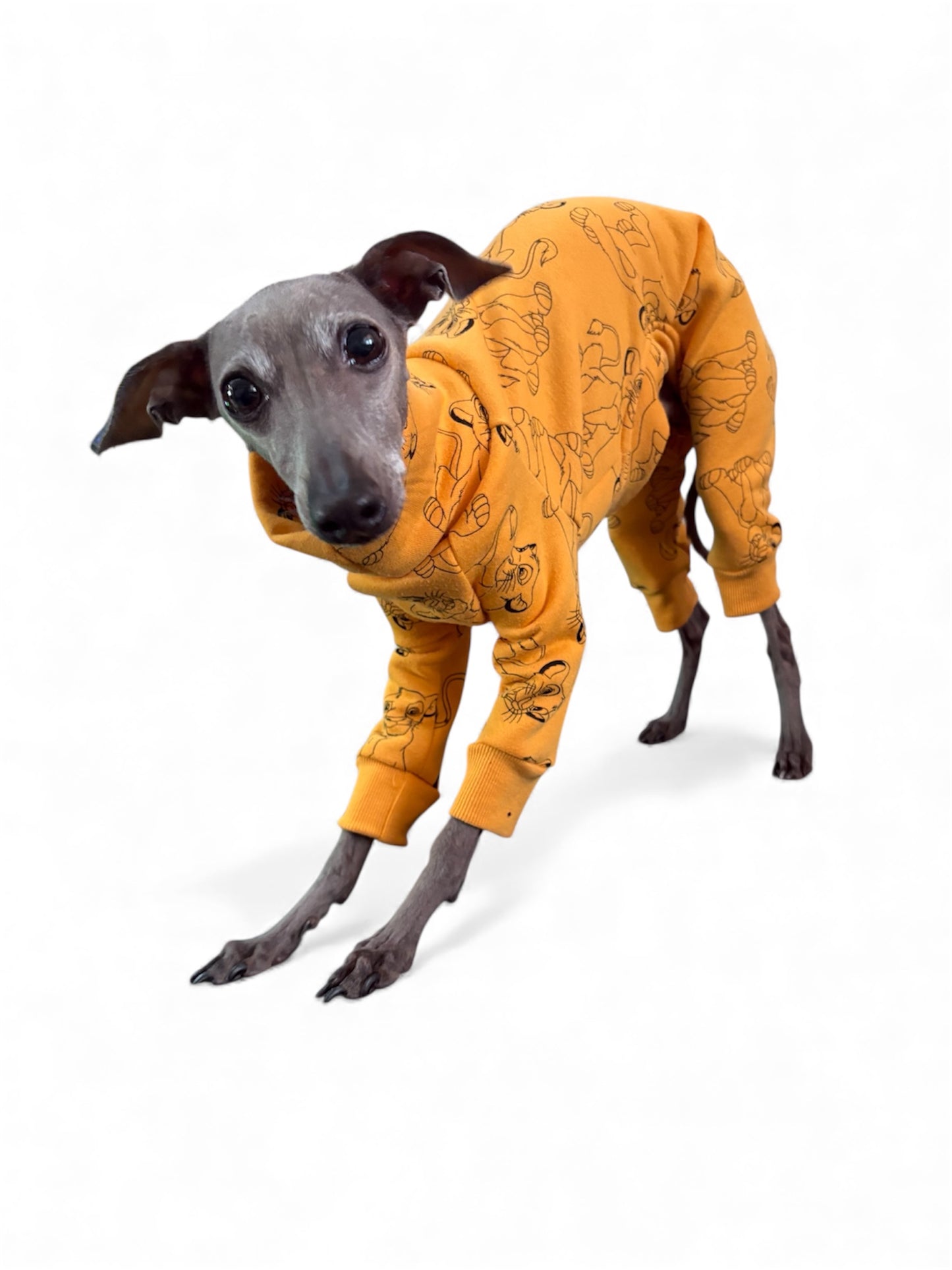 Recycled Sweatshirt Suit - Lion King