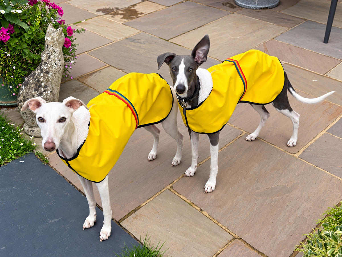 Waterproof Rain Mac - Yellow