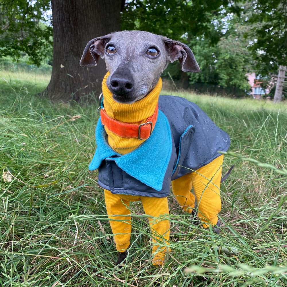 Rain Mac - Black Starfish & Blue Sherpa Lining