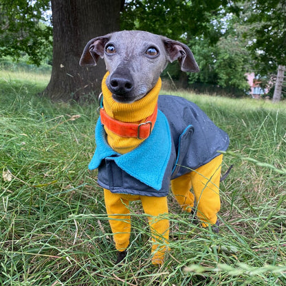 Rain Mac - Black Starfish & Blue Sherpa Lining