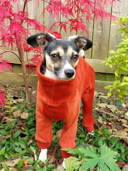 Fleece Lined Sweatshirt Suit - Rust Orange