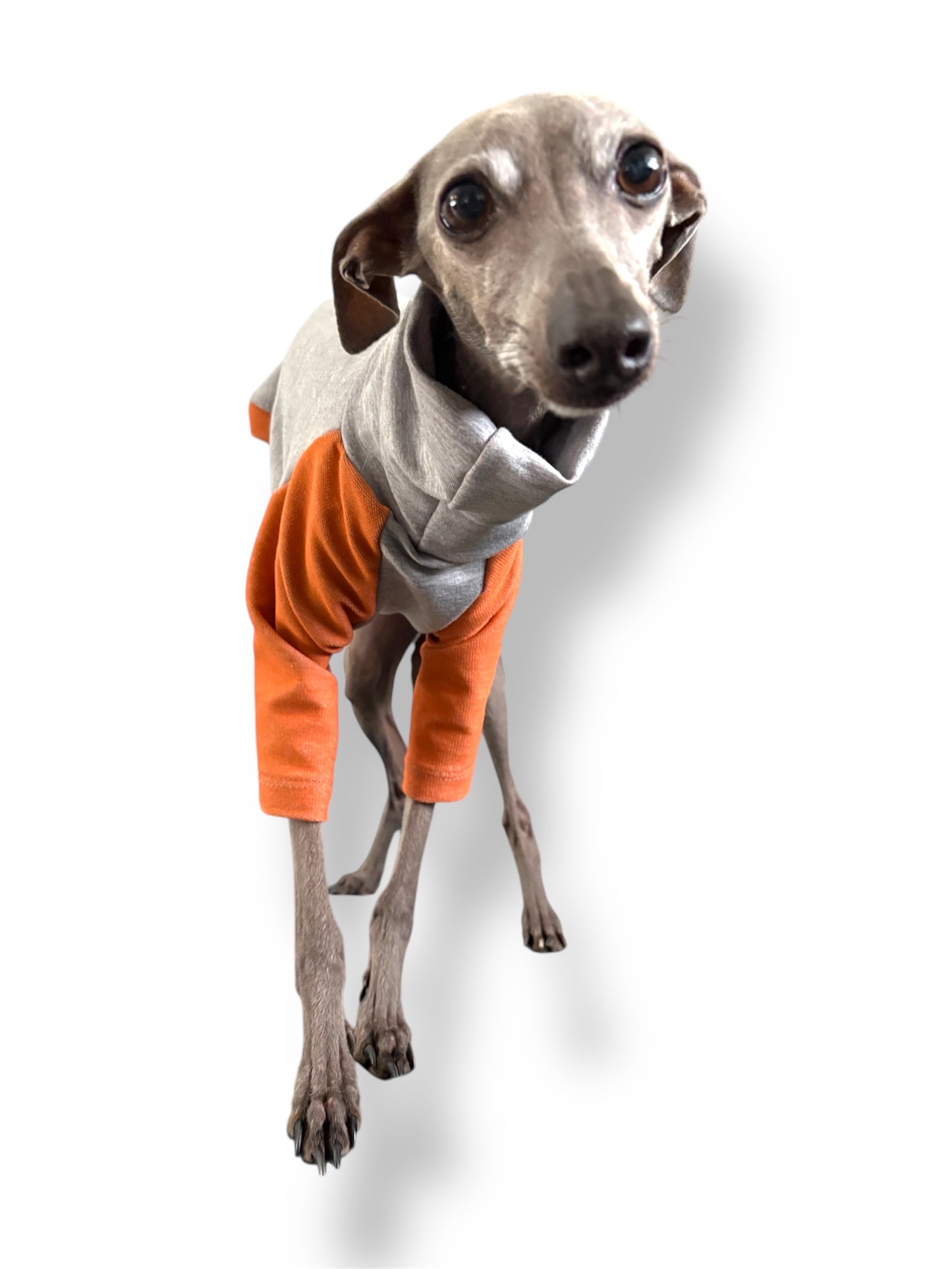 Raglan Sweatshirt - Orange