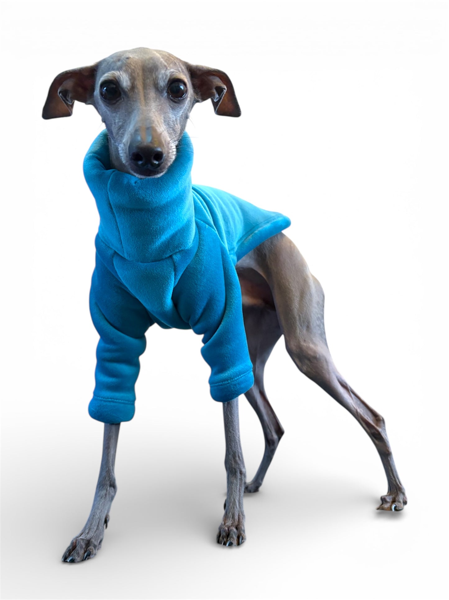 Sherpa Lined Fleece Jumper - Cyan Blue