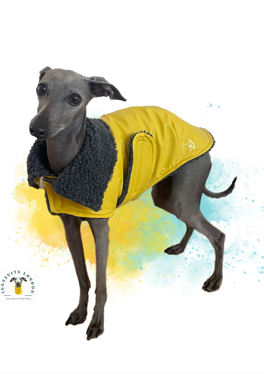 Rain Mac - Yellow Starfish & Boucle Fleece Lining