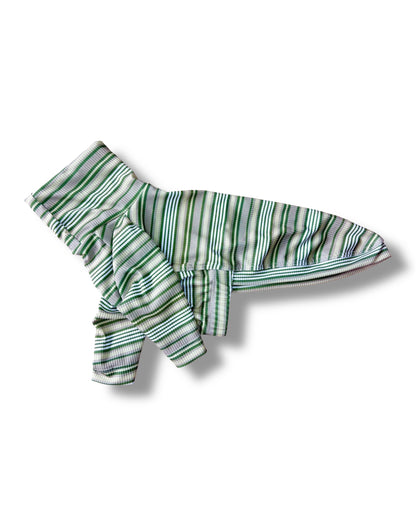 Ribbed Jersey T-Shirt - Green Stripe