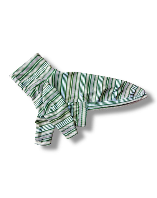 Ribbed Jersey T-Shirt - Green Stripe