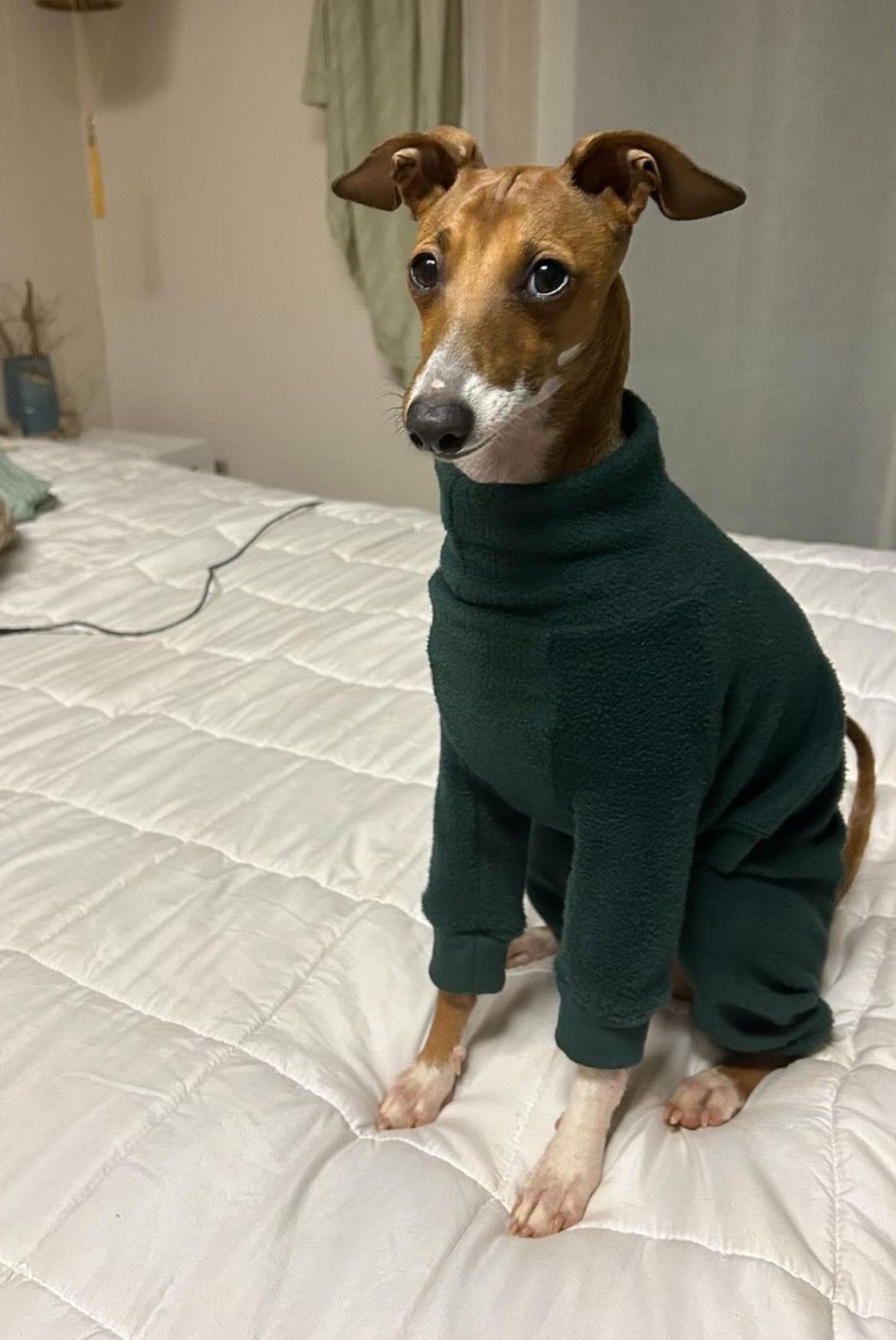 Fleece Lined Sweatshirt Suit - Bottle Green