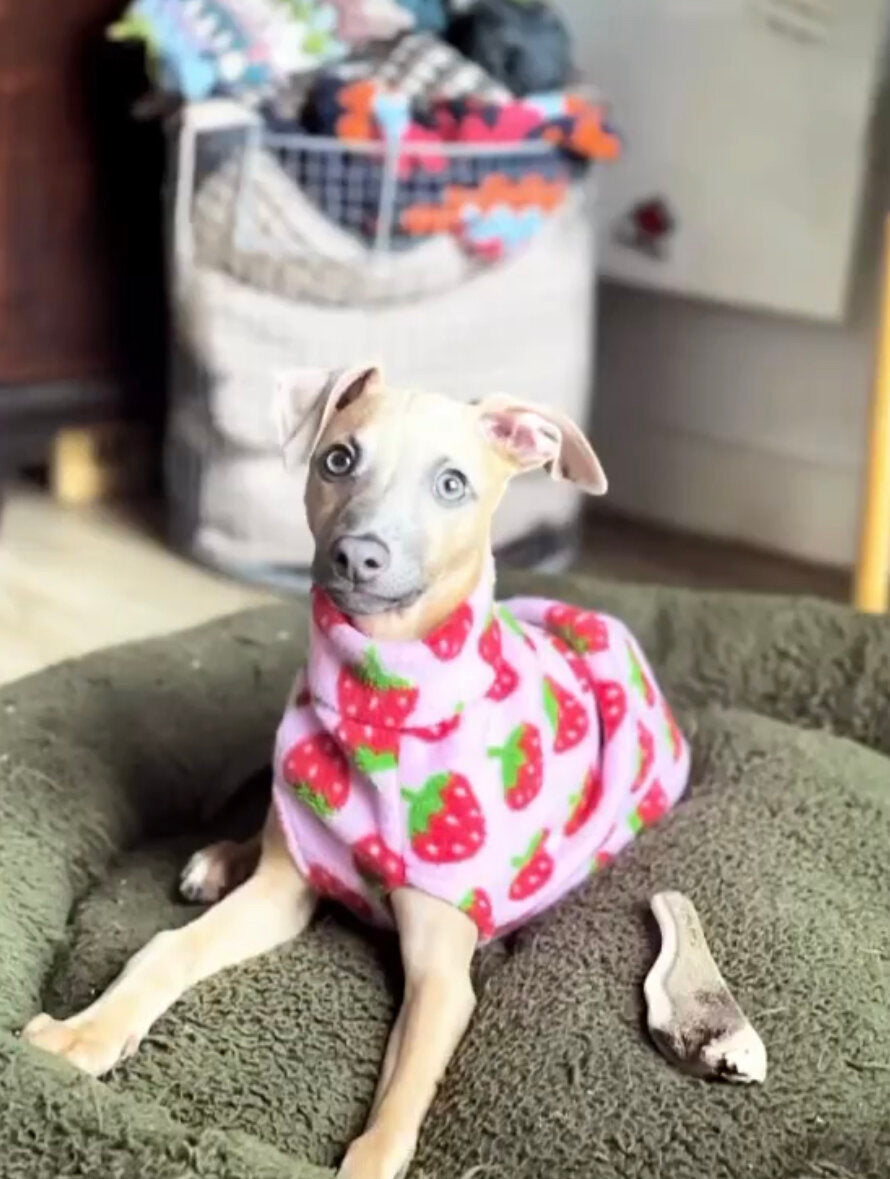 Fleece Vest - Strawberry Dream