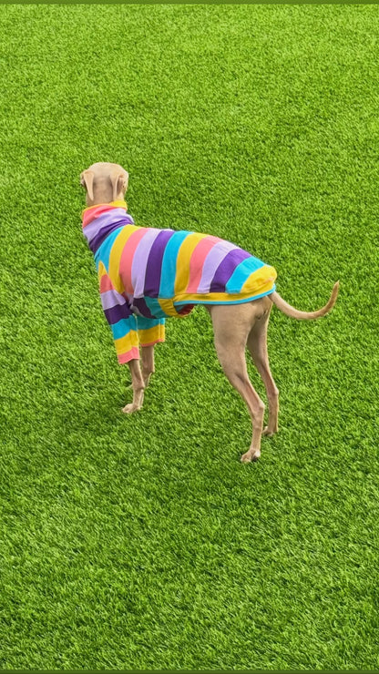 Jersey T-Shirt - Candy Stripe