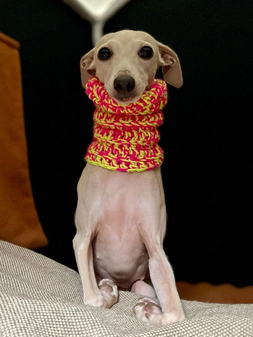 Knitted Snood - Autumnal