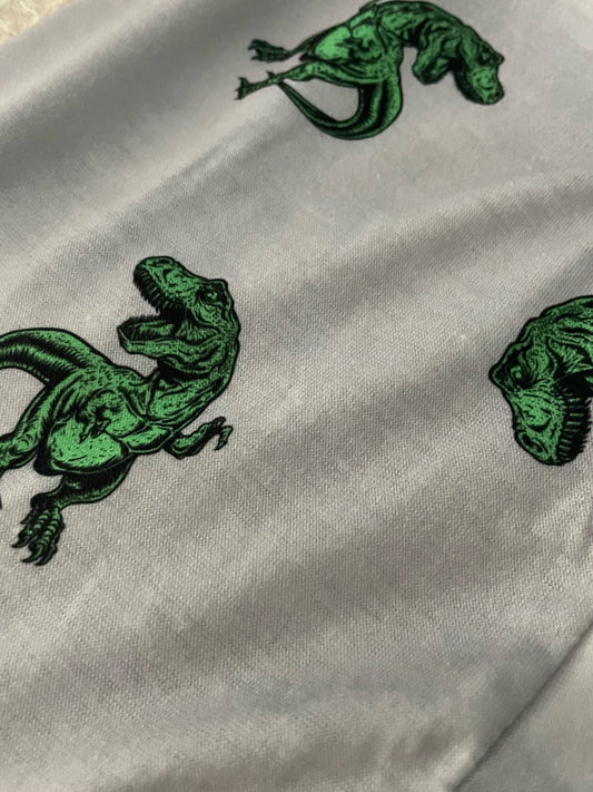 Jersey Suit - Dinosaurs