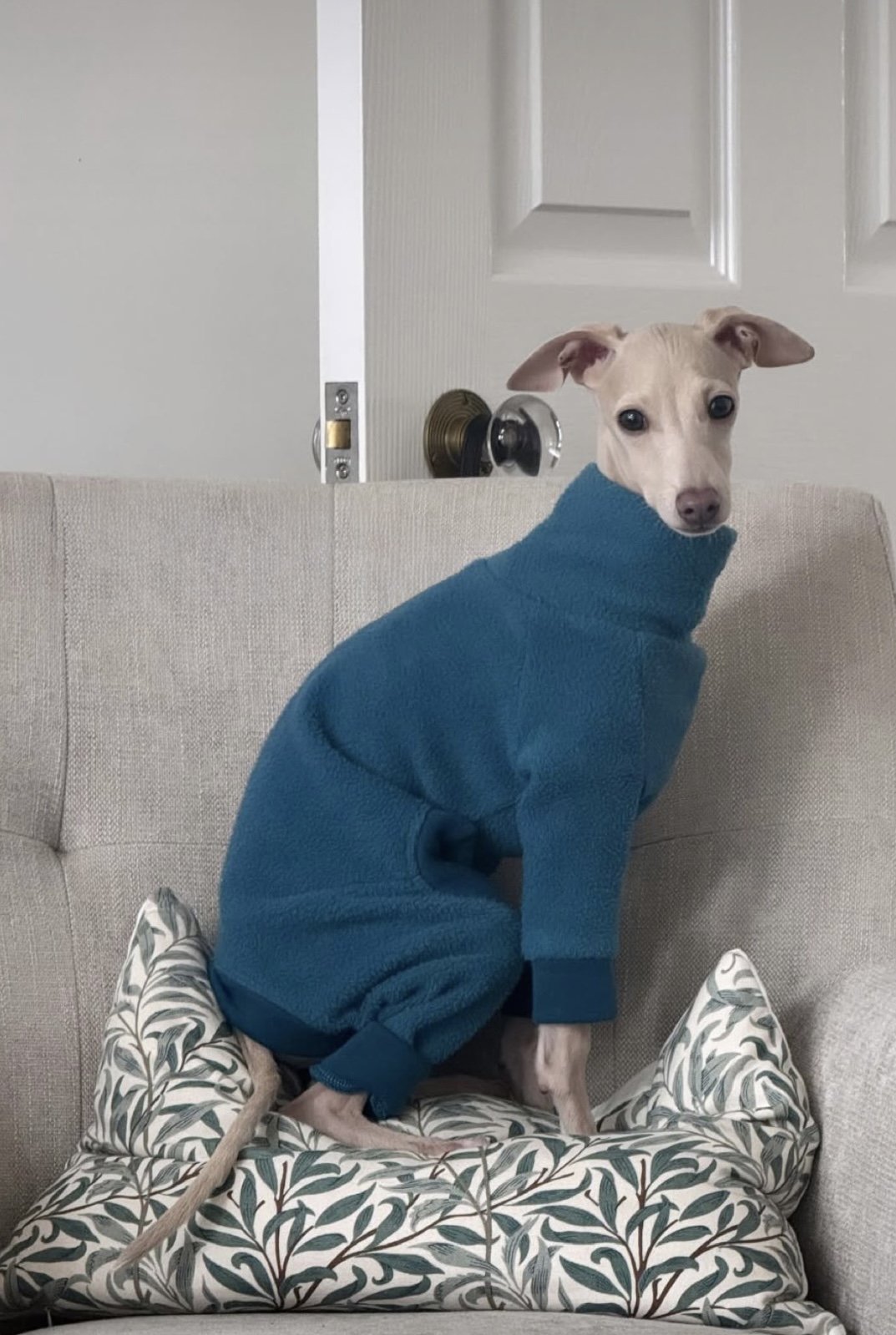 Fleece Lined Sweatshirt - Teal