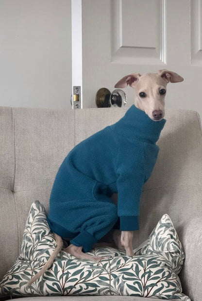 Fleece Lined Sweatshirt - Teal