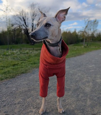 Fleece Lined Sweatshirt Jumper - Rust Orange