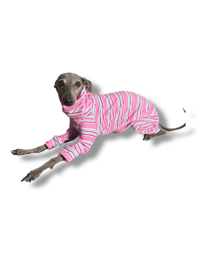 Ribbed Jersey Suit - Pink Stripes