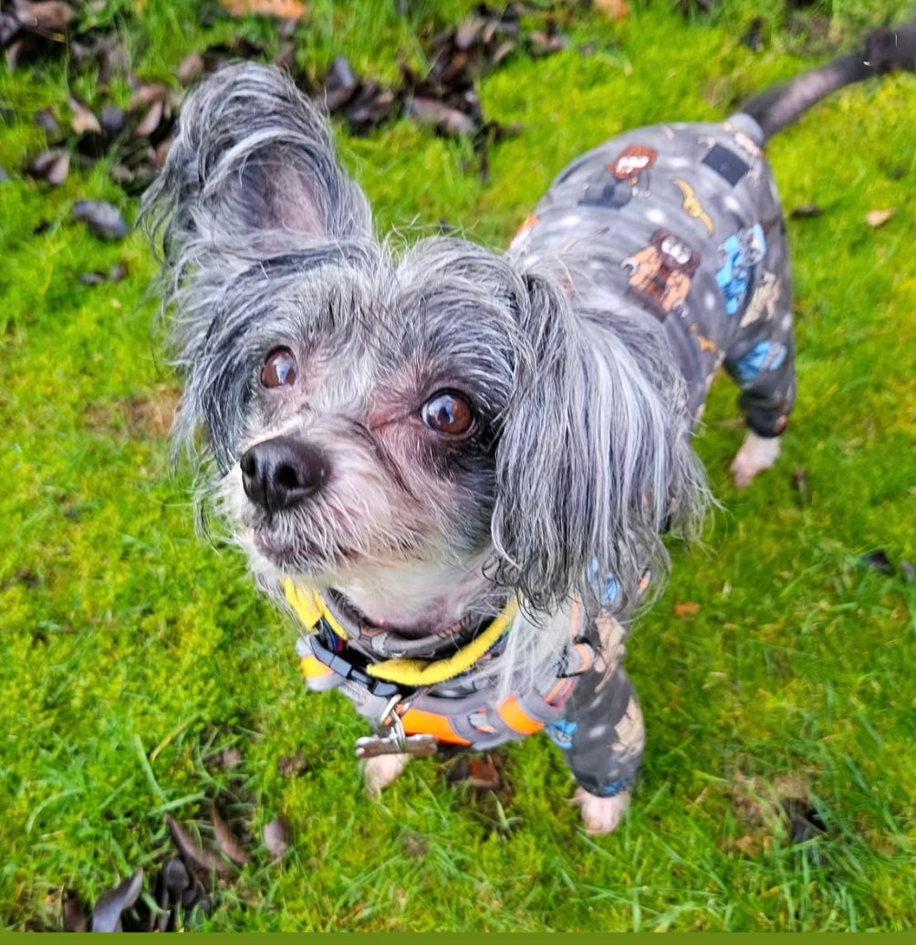 Jersey Suit - Lego Harry Potter