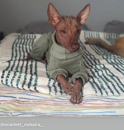 Fleece Lined Sweatshirt - Olive