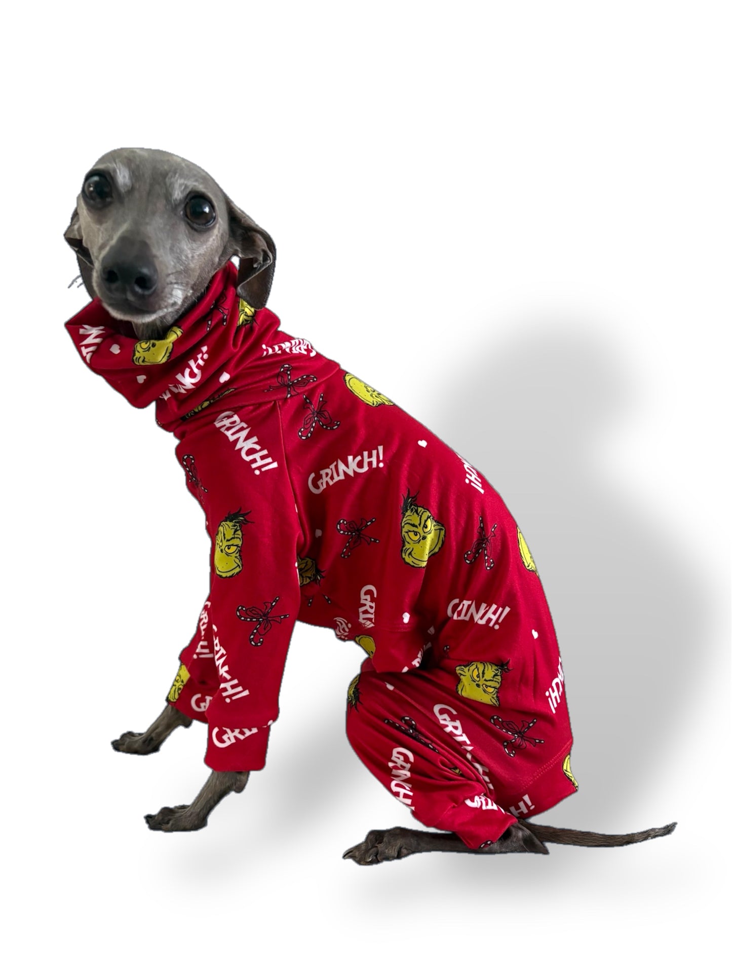 Christmas Jersey Suit - The Grinch