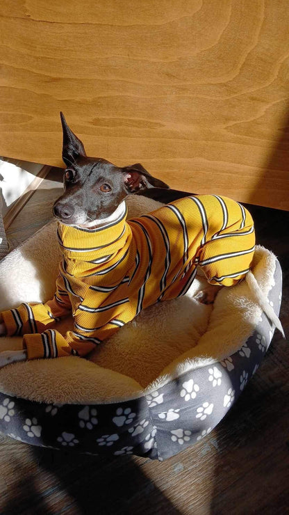 Ribbed Jersey Suit - Lilac Stripe