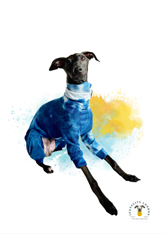 Blue Tie Dye Woolly Jersey