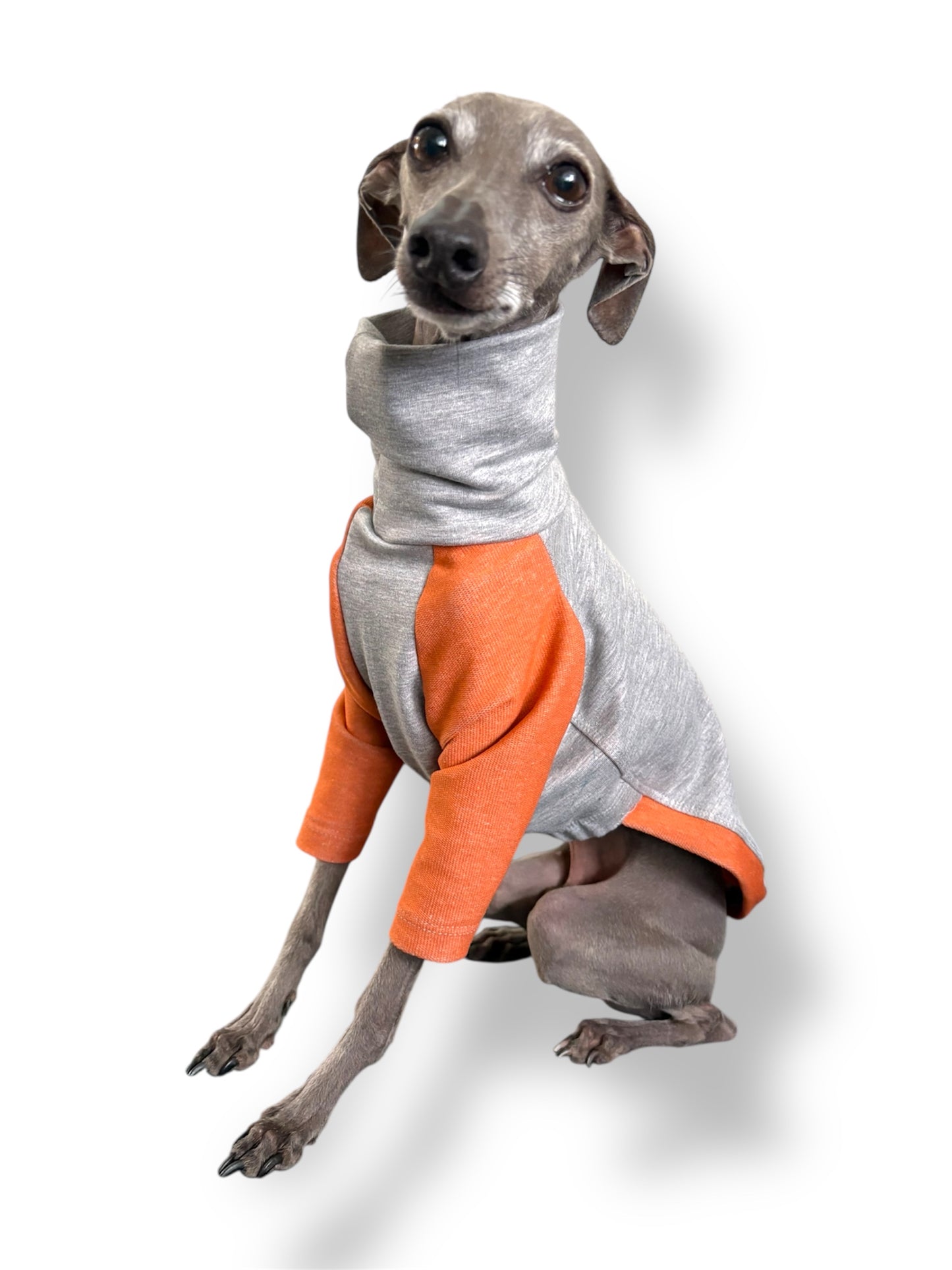 Raglan Sweatshirt - Orange