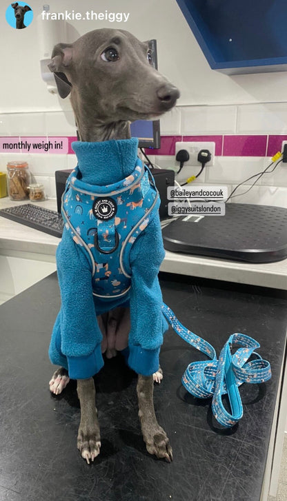 Fleece Lined Sweatshirt - Teal