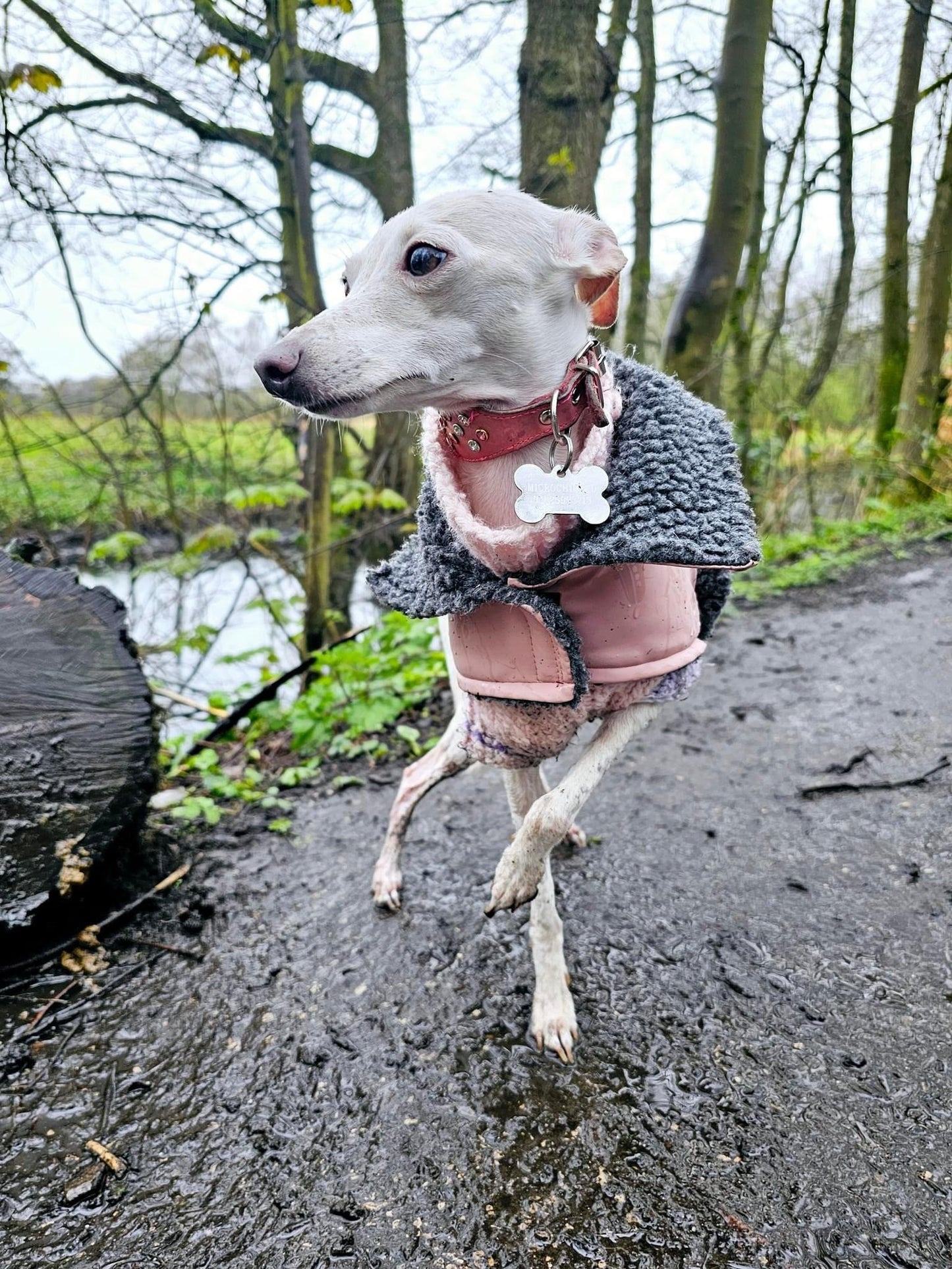 Rain Mac - Pink Submarines & Boucle Fleece Lining