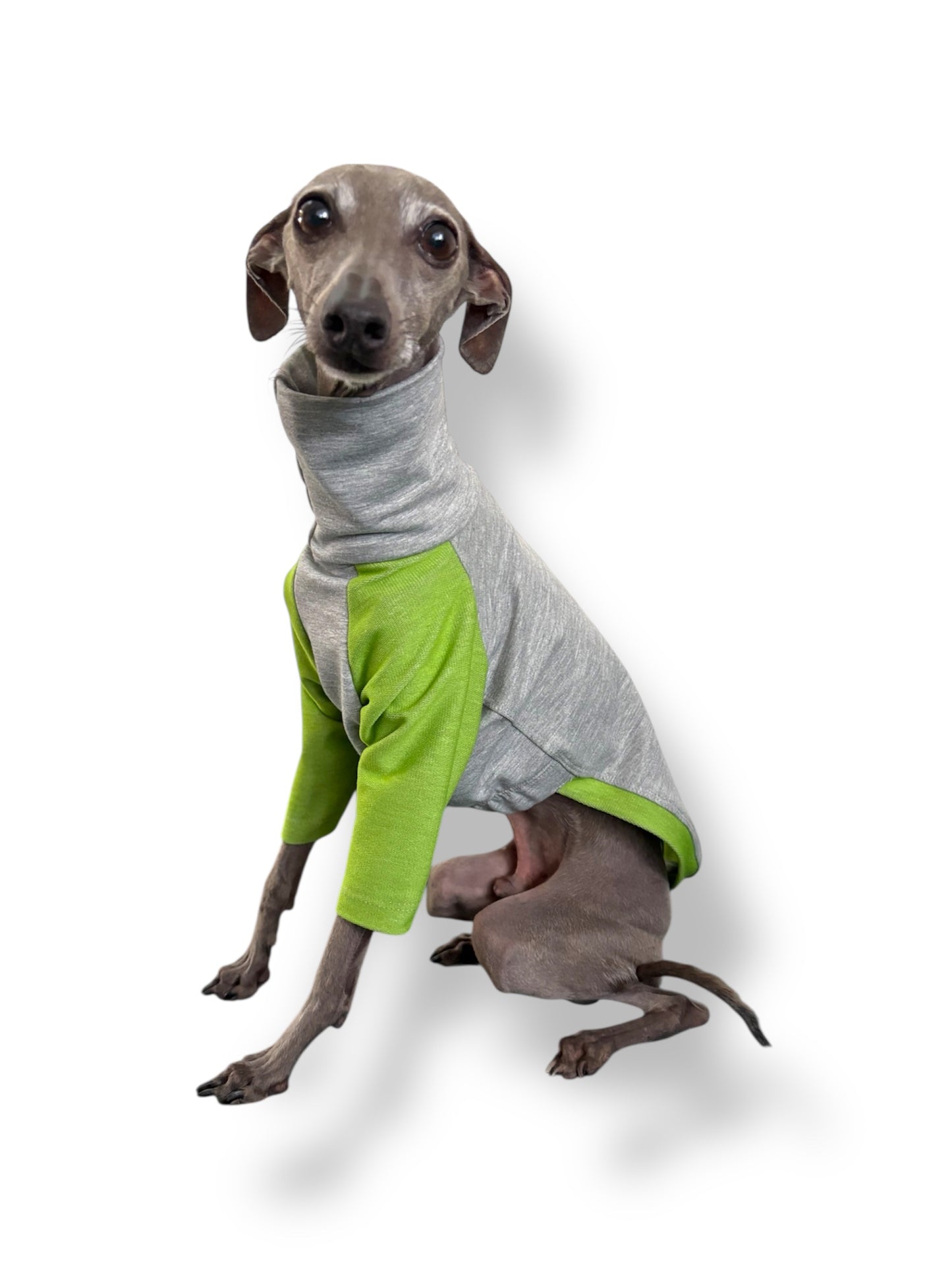 Raglan Sweatshirt - Green