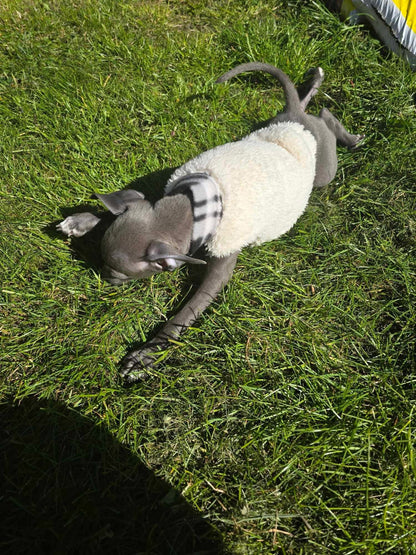 Fleece Vest - Plaid Fluff