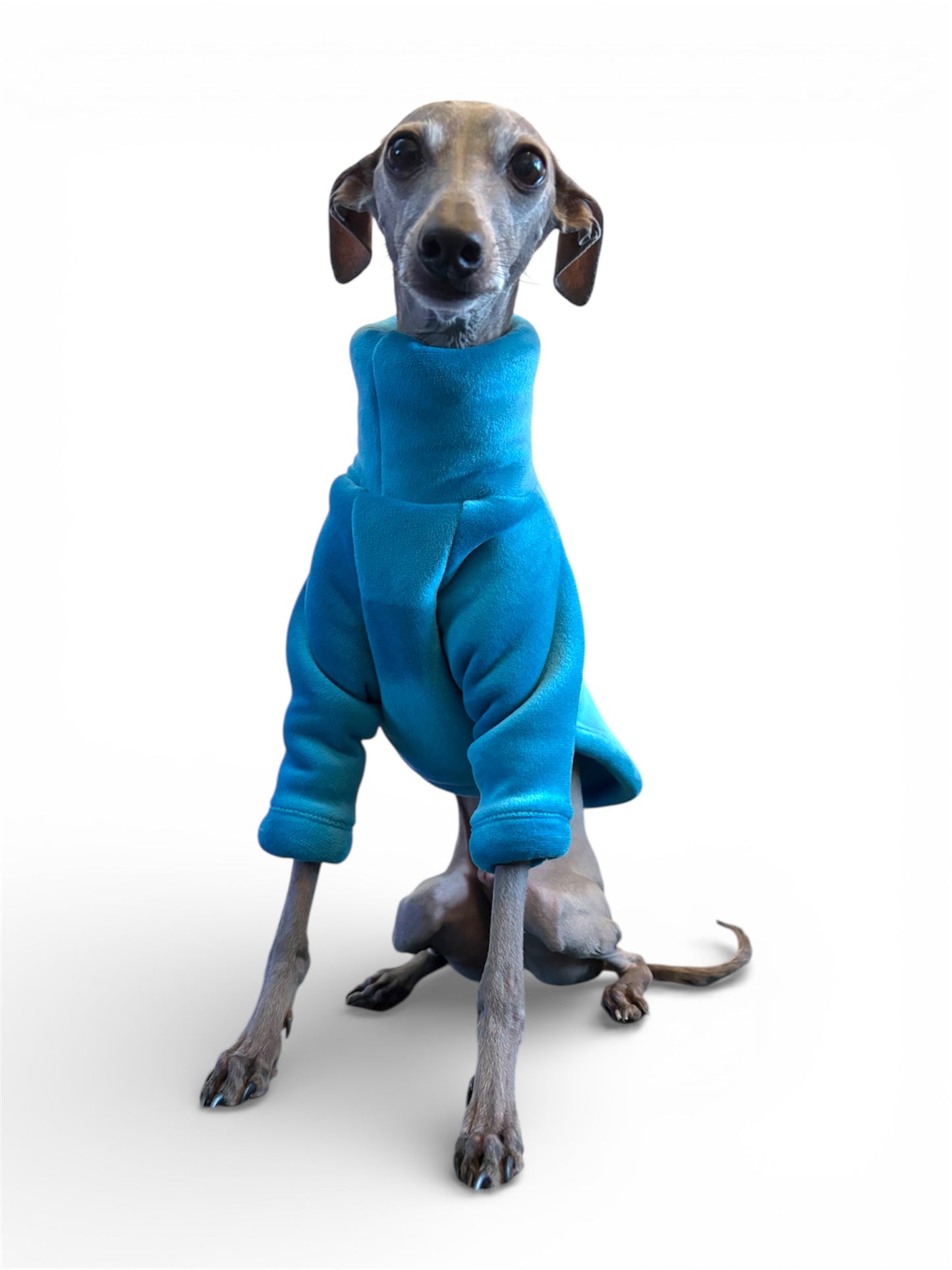 Sherpa Lined Fleece Jumper - Cyan Blue