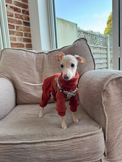Fleece Lined Sweatshirt Suit - Rust Orange